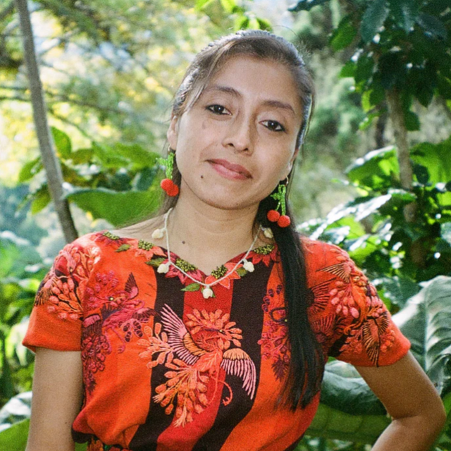 Mini Cherry Ørering