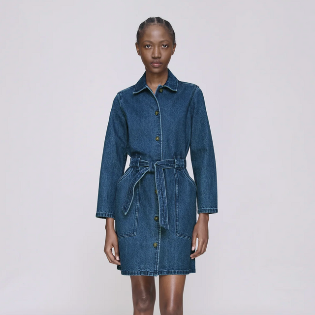 Winter Denim Dress