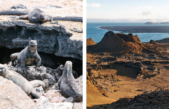 Sailing the Seas Vol. 2