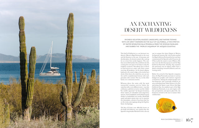 Sailing the Seas Vol. 2