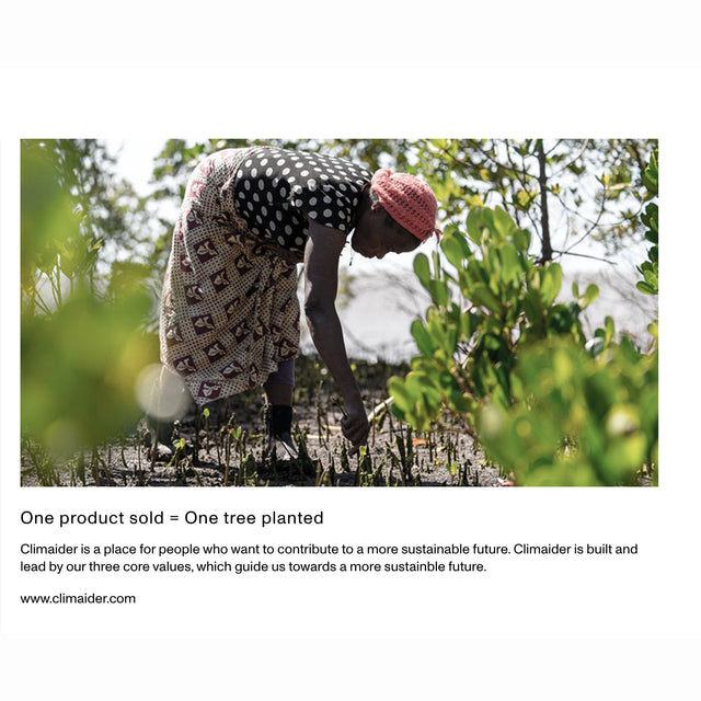 Vision Classical Havana