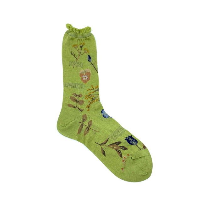 Antipast Am-779 Light Green - Sokker i Grøn (Light Green) Køb sokker hos Adelie. Dametøj på nørrebro og onlline til hele Danmark