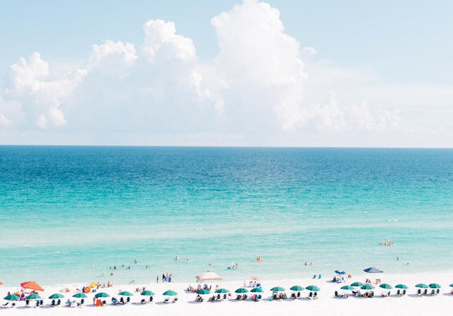 Beach life
